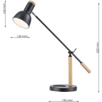 Настольная лампа Flitz Leuchten Table (FL971-1T) фото №3 — интернет-магазин Desire.md