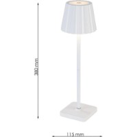 Настольная лампа Flitz Leuchten Tovo (FL957-1T) фото №3 — интернет-магазин Desire.md