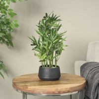 Floare decorativă Casa Masa 46cm (9131030210) imaginea #2 — magazin online Desire.md