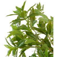 Floare decorativă Deco Andromeda Japanese 170cm imaginea #2 — magazin online Desire.md