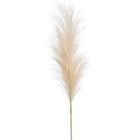Floare decorativă Emerald Pampas Grass Stem 115cm (076915)