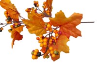 Floare decorativă H&S 30cm (56380) imaginea #3 — magazin online Desire.md