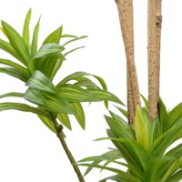 Floare decorativă Deco Dracaena 200cm imaginea #2 — magazin online Desire.md