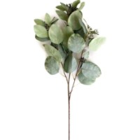 Floare decorativă Deco Eucalyptus