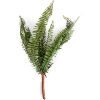 Floare decorativă Deco Fern