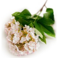 Floare decorativă Deco Hydrangea imaginea #2 — magazin online Desire.md