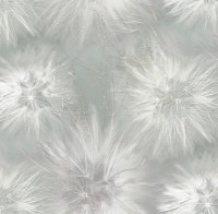 Обои Victoria Stenova 286813 Amazing