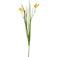 Floare decorativă Deco Iris Yellow