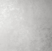 Обои Victoria Stenova 585041 Richard