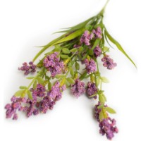 Floare decorativă Deco Levantica imaginea #2 — magazin online Desire.md