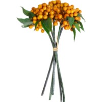 Floare decorativă Deco Piracanta