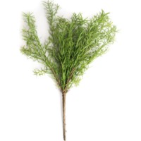 Floare decorativă Deco Rosemary