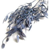 Floare decorativă Deco Ruscus imaginea #2 — magazin online Desire.md