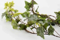 Декоративный цветок H&S 80сm (49447) фото №2 — интернет-магазин Desire.md