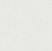 Обои Victoria Stenova 585112 Magnolia