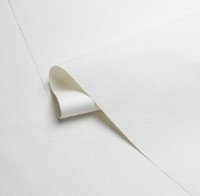 Обои Victoria Stenova 585112 Magnolia фото №2 — интернет-магазин Desire.md