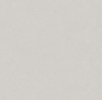 Обои Victoria Stenova 585116 Magnolia