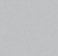 Обои Victoria Stenova 585117 Magnolia