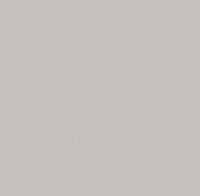 Обои Victoria Stenova 585388 Milana