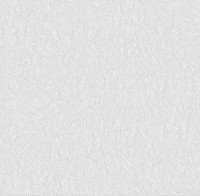 Обои Victoria Stenova 585460 Blesk