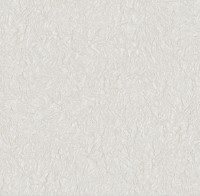 Обои Victoria Stenova 585464 Blesk