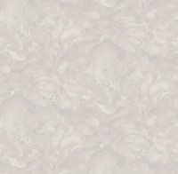 Обои Victoria Stenova 585522 Virtuoso