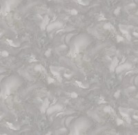 Обои Victoria Stenova 585528 Virtuoso