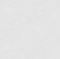 Обои Victoria Stenova 585541 Ambassador