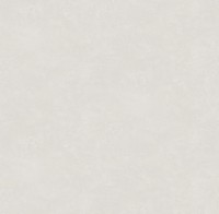 Обои Victoria Stenova 585542 Ambassador