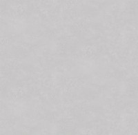 Обои Victoria Stenova 585543 Ambassador