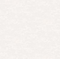 Обои Victoria Stenova 588266 Allegra