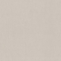 Обои Rasch 990287 Unitex