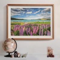 Пазл Clementoni 1500 Lupins At Lake Tekapo (31731)  фото №2 — интернет-магазин Desire.md