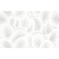 Обои GranDeco R198136 Nega