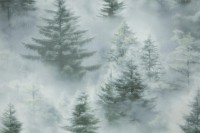 Обои Home Color HC72551-71 Ultrachrome 