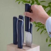 Set cuțite Opinel Block Of 5 Intempora (002404) imaginea #5 — magazin online Desire.md