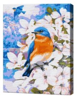 Картина по номерам Art Gallery Premium Bird On A Flowering Branch (EX7527)