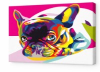 Tablou pe numere Art Gallery Premium Bulldog (CX3670)