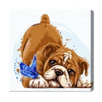 Tablou pe numere Art Gallery Premium Bulldog And Butterfly (BX2854)