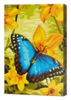 Tablou pe numere Art Gallery Premium Butterfly On Baffodils (CX3546)