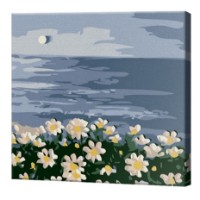 Картина по номерам Art Gallery Premium Daisies By The Sea (BX3141)