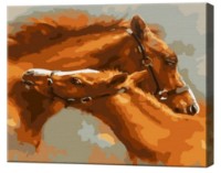 Картина по номерам Art Gallery Premium Foal With Mother (CX4481)