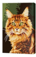 Tablou pe numere Art Gallery Premium Ginger Cat (CX3743)
