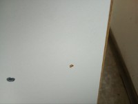 Marfă depreciată! Etajeră Remaks 3 Shelf White imaginea #4 — magazin online Desire.md