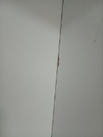 Marfă depreciată! Etajeră Remaks 3 Shelf White imaginea #6 — magazin online Desire.md