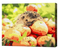 Tablou pe numere Art Gallery Premium Hedgehog Among Apples (CX4362)
