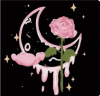 Tablou pe numere Art Gallery Premium Moon And Rose (BX3174)