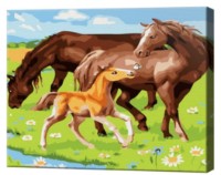 Tablou pe numere Art Gallery Premium Mustangs (CX4486)