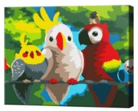 Tablou pe numere Art Gallery Premium Parrots (CX4951)