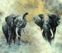 Fototapete Marburg 33100 Travertino/Okan